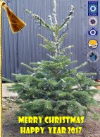 SEASONAL GREETINGS - MERRY CHRISTMAS - HAPPY NEW YEAR