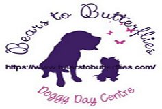 BEARS TO BUTTERFLIES