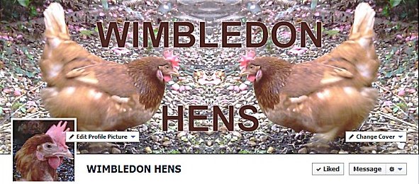 WIMBLEDON HENS