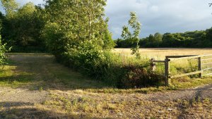 TAP FARM