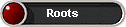 Roots