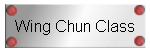 Wing Chun Class