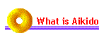 What is Aikido