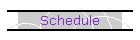 Schedule