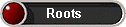 Roots