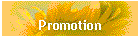 Promotion